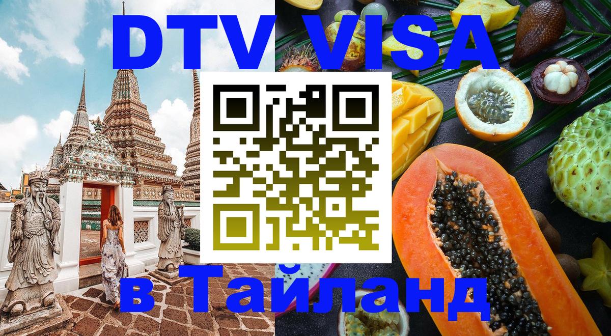 Оформление DTV визы под ключ: стоимость и тарифы, только загранпаспорт - Находка 